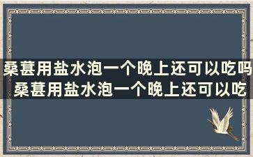 桑葚用盐水泡一个晚上还可以吃吗 桑葚用盐水泡一个晚上还可以吃吗为什么